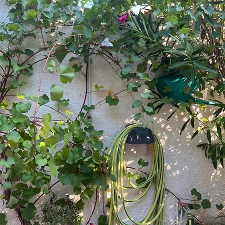 Cosy Guesthouse-souterrain With Garden In City Center 아파트 *