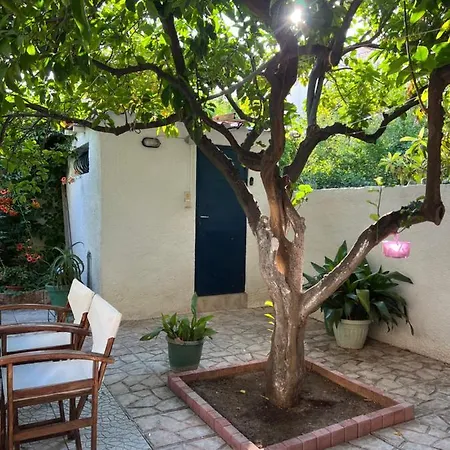 아파트 Cosy Guesthouse-souterrain With Garden In City Center