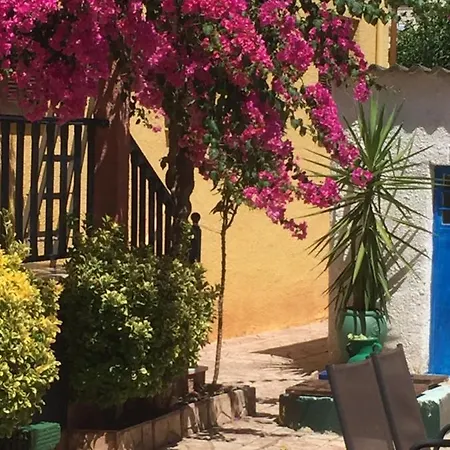 Apartment Cosy Guesthouse-souterrain With Garden In City Center