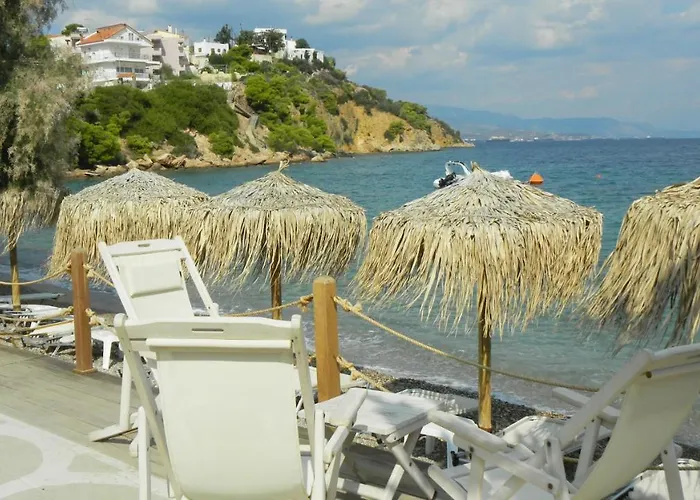 Lägenhet Cosy Guesthouse-souterrain With Garden In City Center *