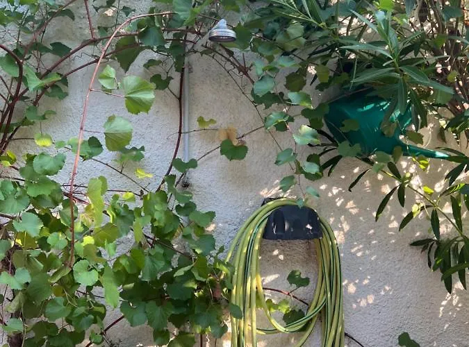 Cosy Guesthouse-souterrain With Garden In City Center Apartamento *