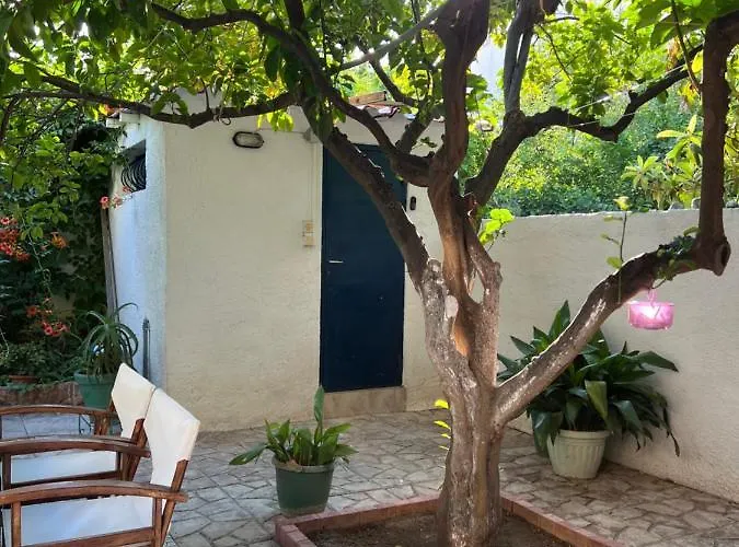 Lägenhet Cosy Guesthouse-souterrain With Garden In City Center