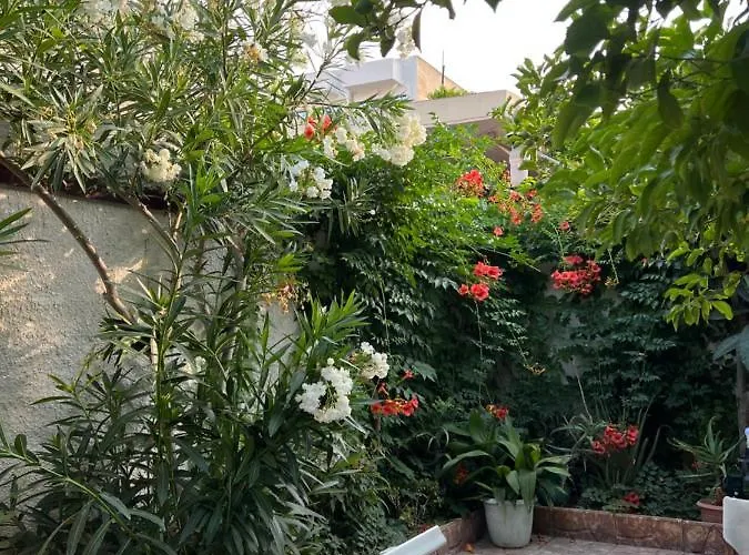 Cosy Guesthouse-souterrain With Garden In City Center * Corinth